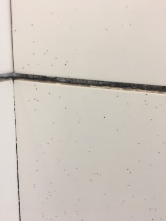 Tile Disasters &amp; Repairs - Grinder Sparks - Mt. Newton