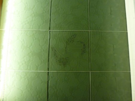 Green Glass "Koi Pond" Bathroom Floor Tile - Victoria BC