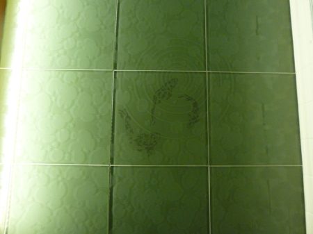 Green Glass "Koi Pond" Bathroom Floor Tile - Victoria BC